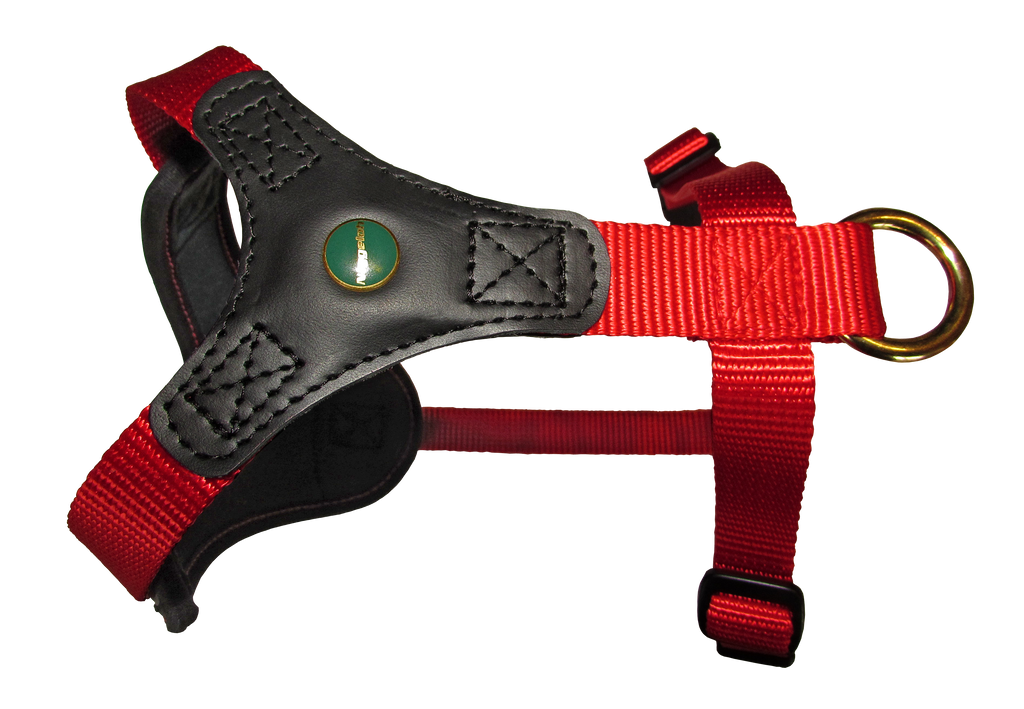 Niggeloh Harnas Follow Start