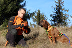 Niggeloh Follow TRAIL harnas – detailopname steckverschluss