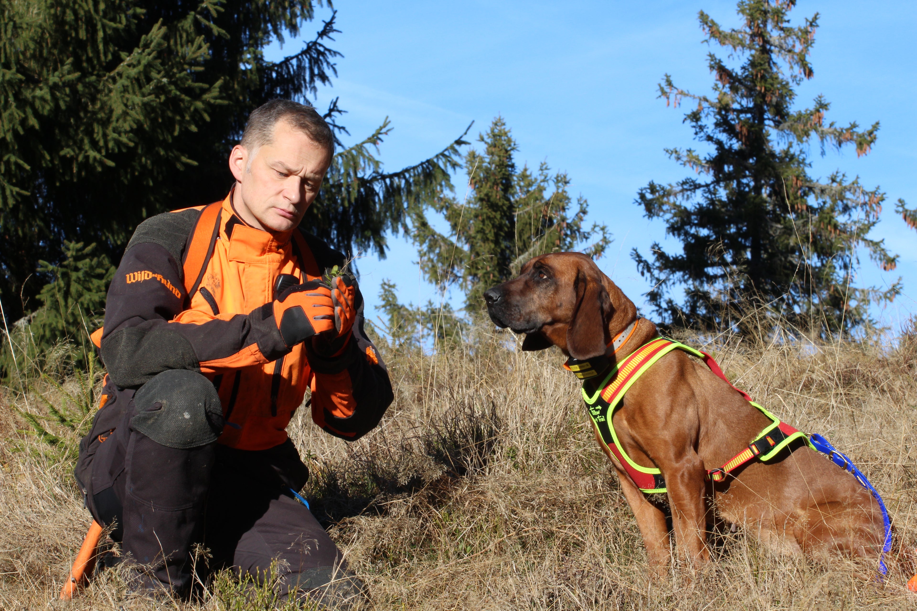 Niggeloh Zweet Harnas Follow TRAIL