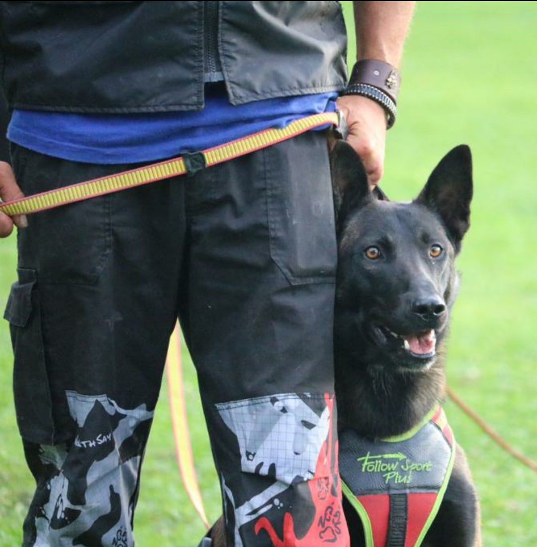 Niggeloh Harnas Follow Sport Plus