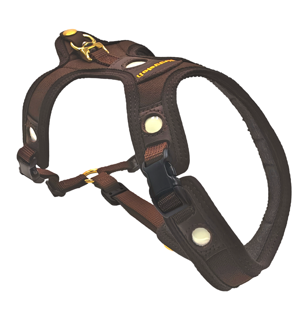 Niggeloh Zweet Harnass Follow Light LICHTBLICK