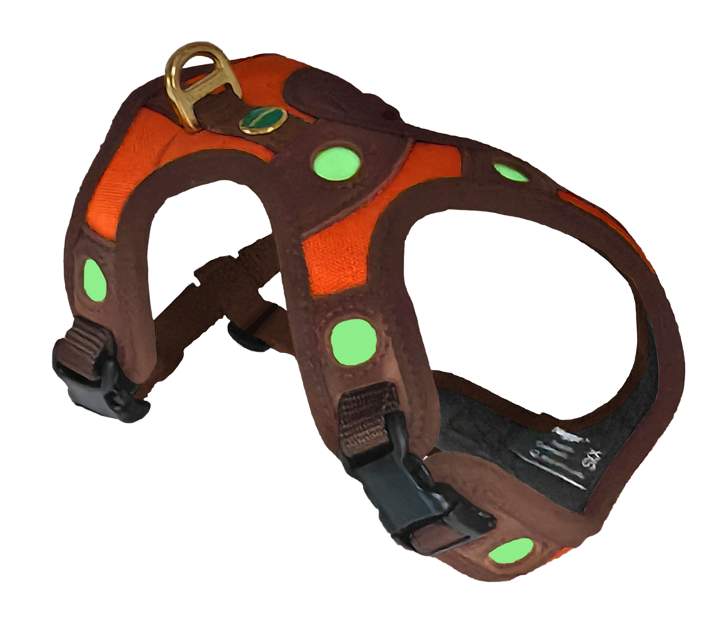 Niggeloh Zweet Harnass Follow Light LICHTBLICK