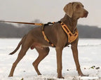 Niggeloh Mantrailing Harnas – detailopname schouderbanden