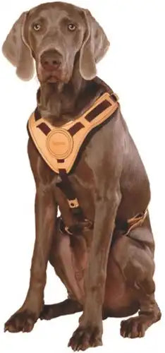 Niggeloh Dog Harnass Mantrailing