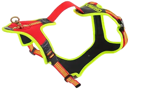 Niggeloh Zweet Harnas Follow TRAIL